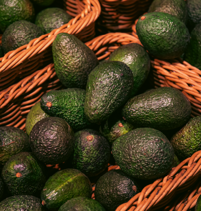 http://Avocado%20Supplier