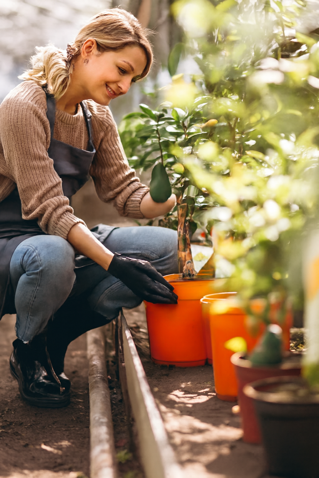 premium avocado sourcing and processing by Horizon Harvest